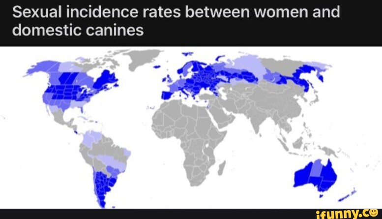 1704844061222.png