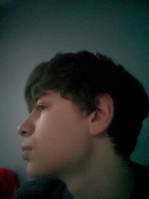 PXL_20240113_140017087.MP.jpg