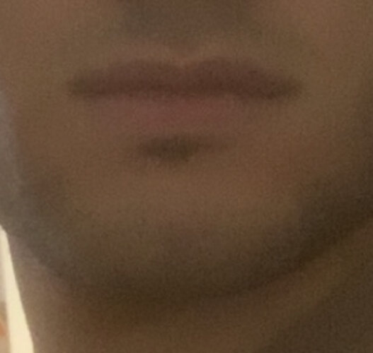 IMG 1558