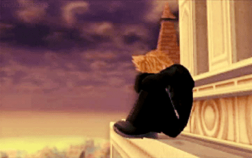 tumblr_m60a0hgGCD1qkzuw9540.gif