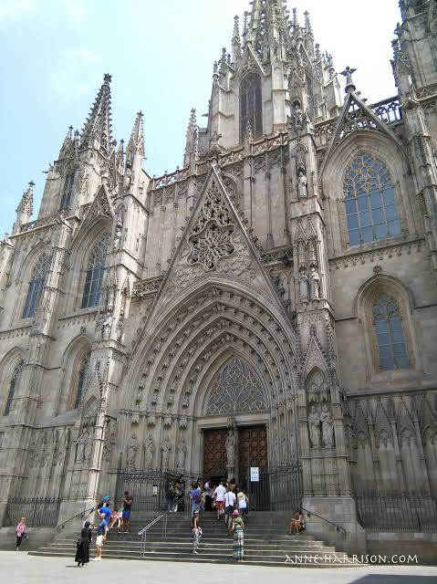 IMG 3662