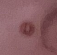 1706813044975