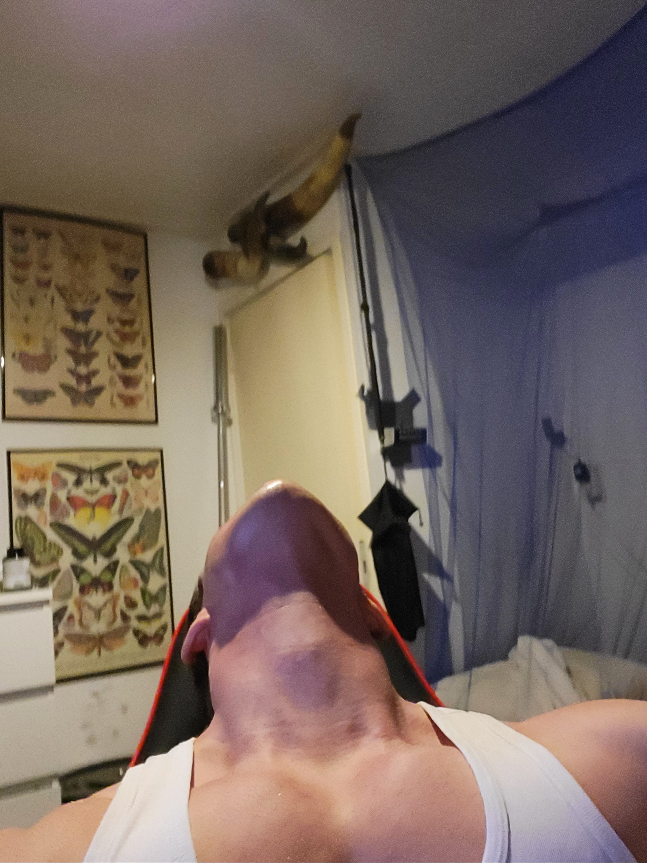 20240203 010531 1
