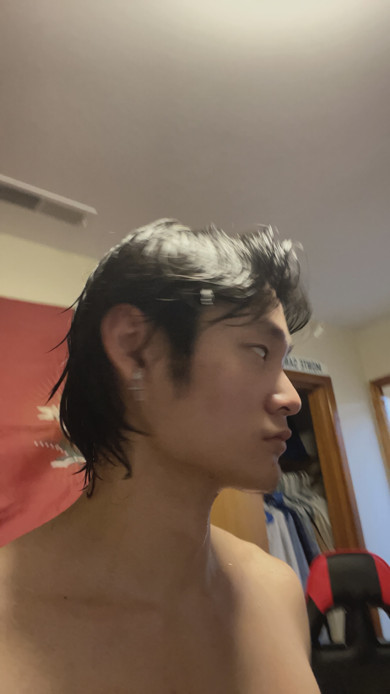 IMG 2454