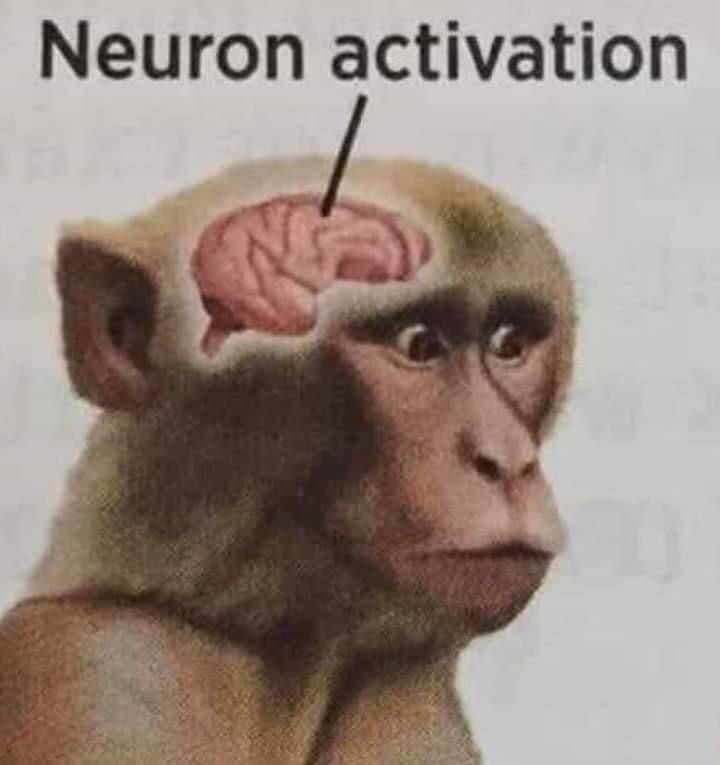1707196050529