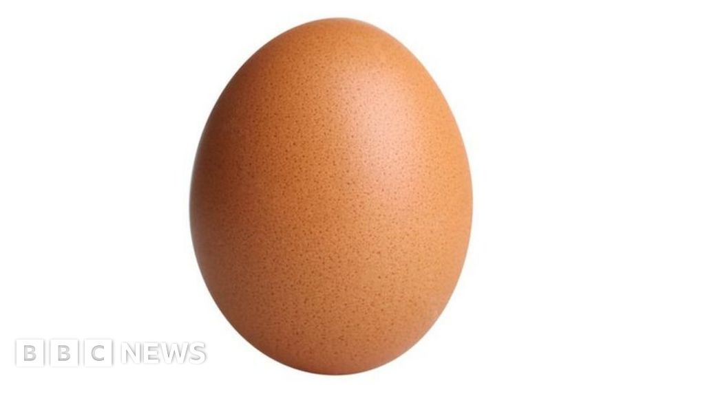 Egg