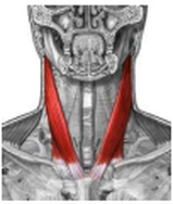 1707347771125