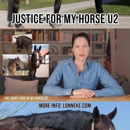 1707453041976