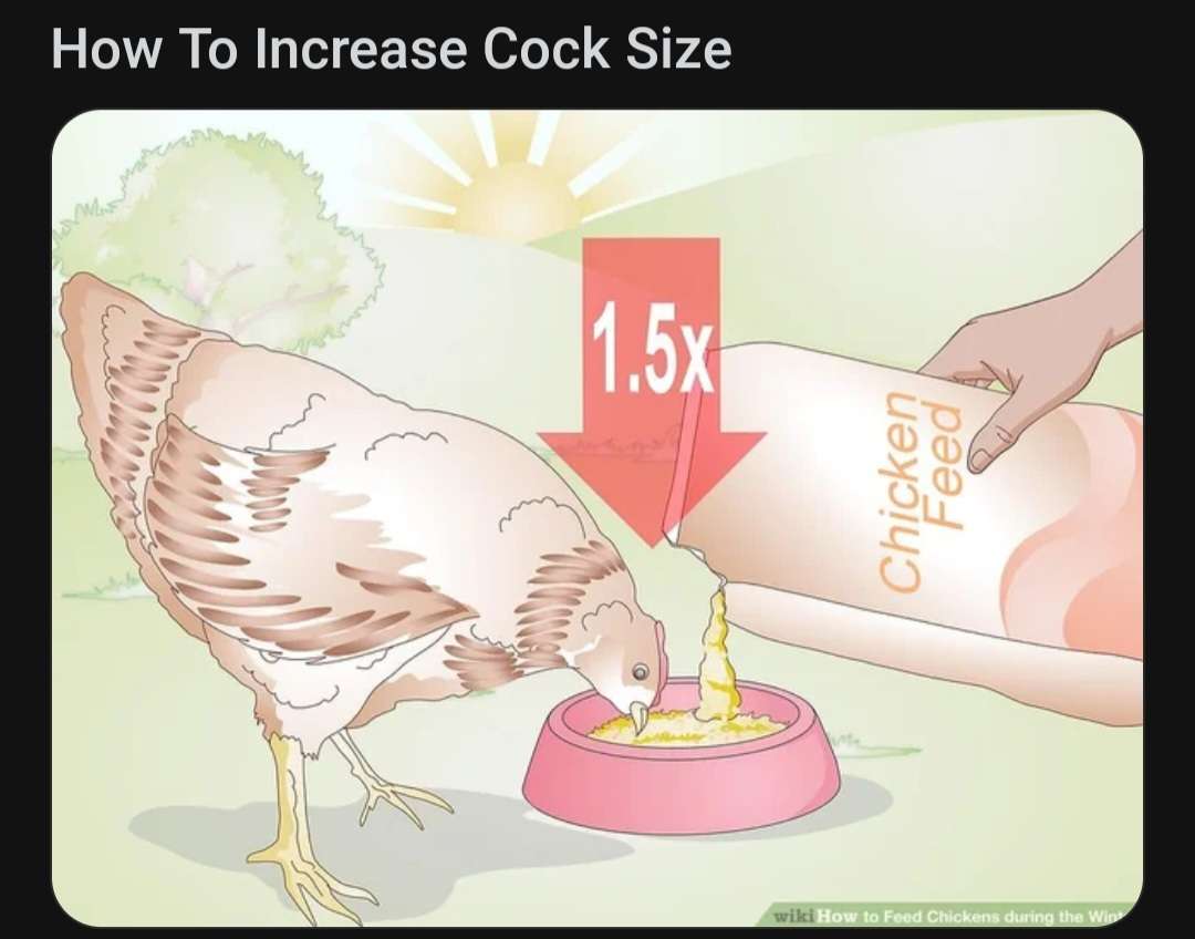 Screenshot 20240209 123031 Reddit