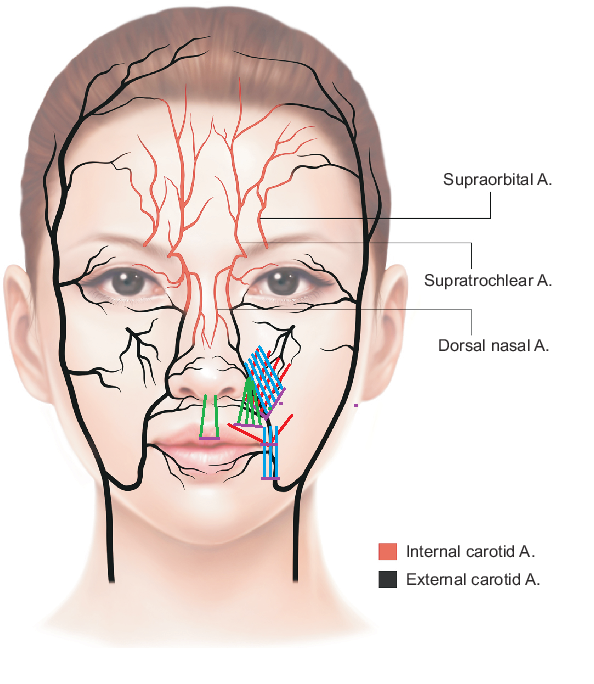 Face map