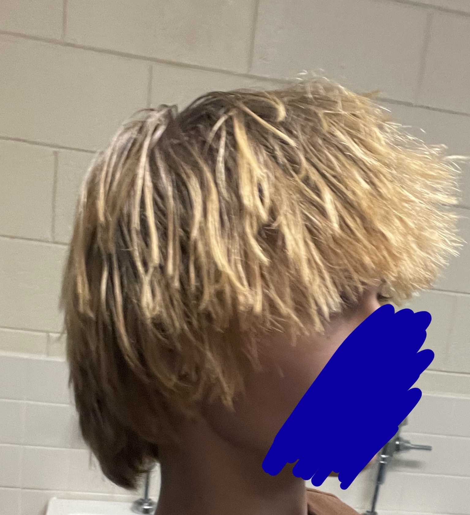 IMG 2693