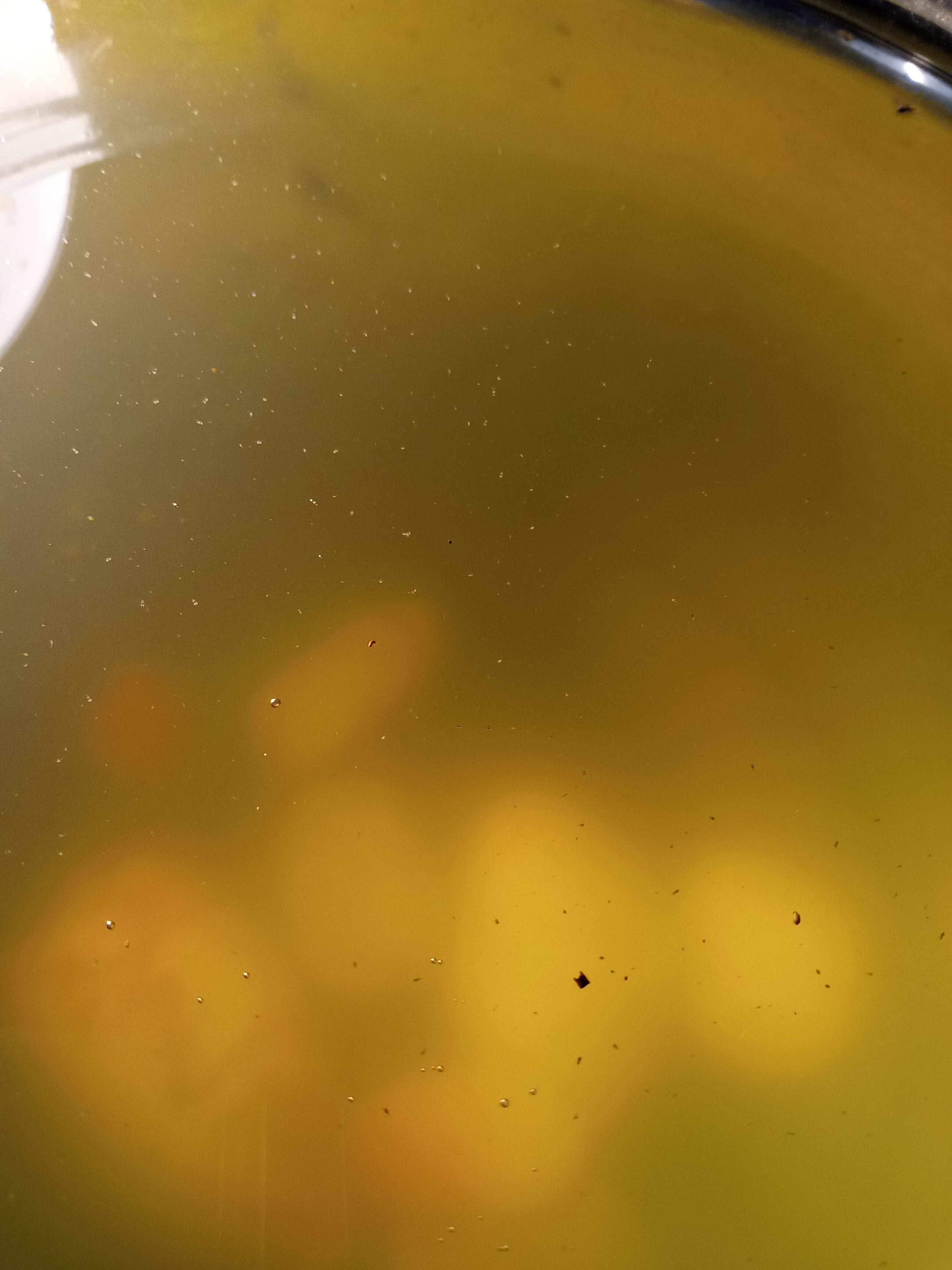 IMG 20240208 192018619