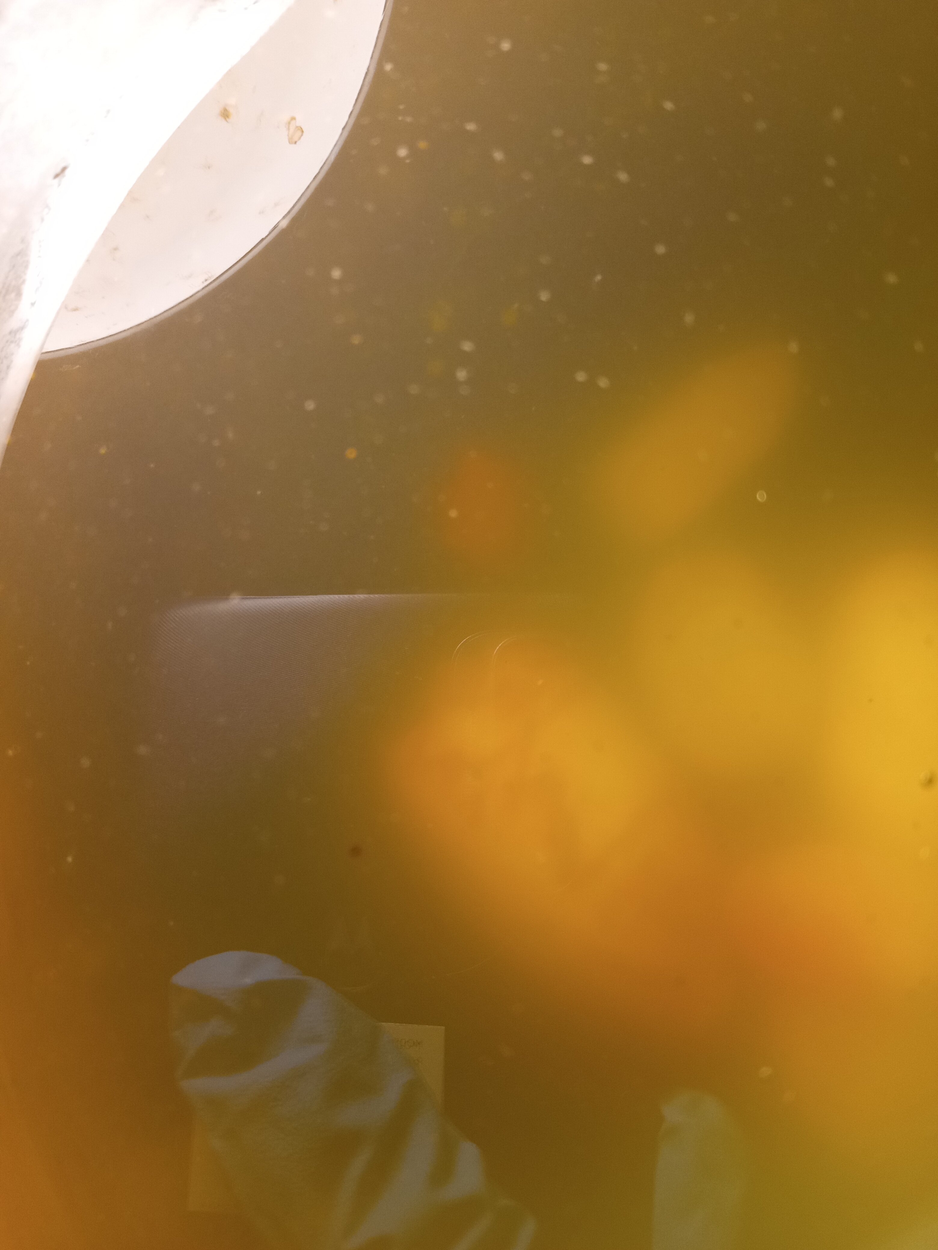 IMG 20240208 192007691