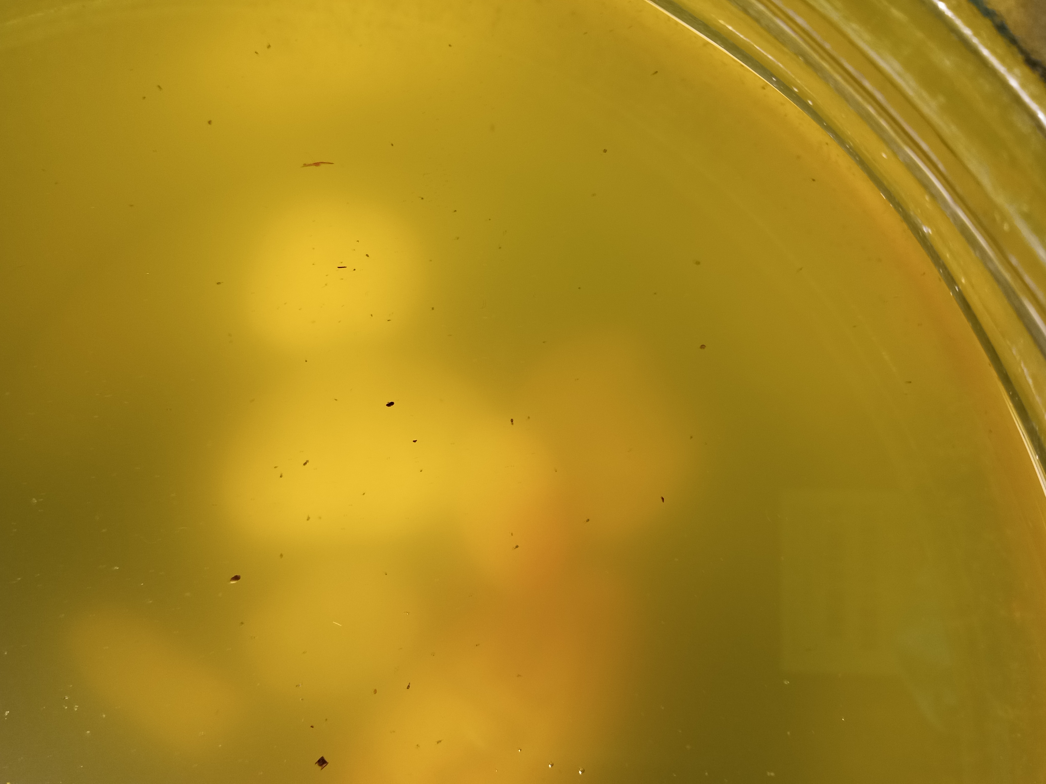 IMG 20240208 191950336