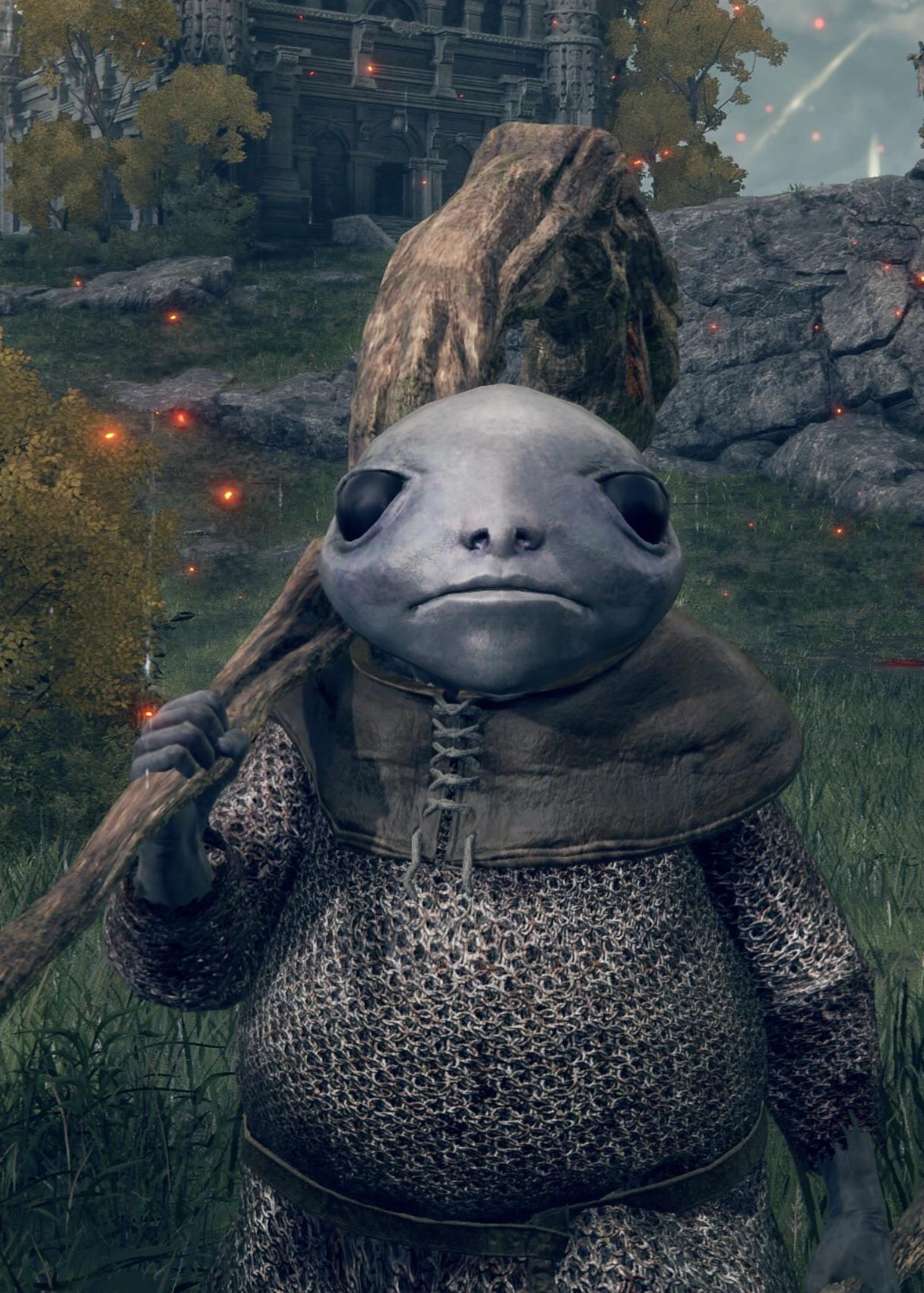 Imagem 2024 02 10 194418673