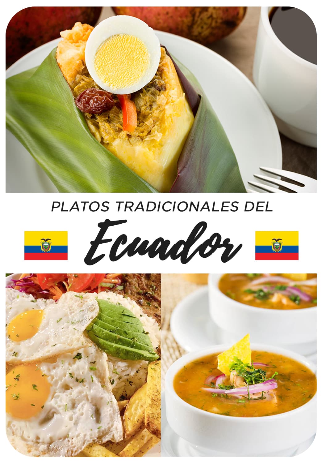 Platos tradicionales del ecuador comida ecuatoriana web