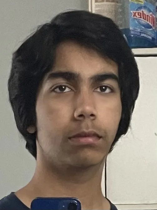 Improvedpic1