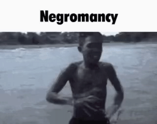 IMG 1237