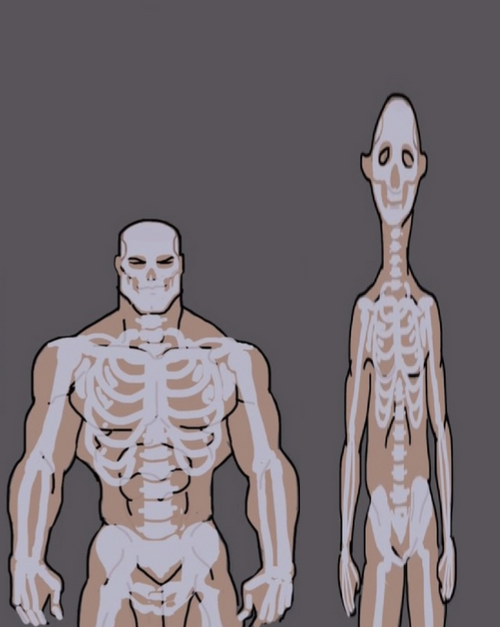 3705397 Who is calling you a manlet