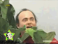 Giphy 4 1