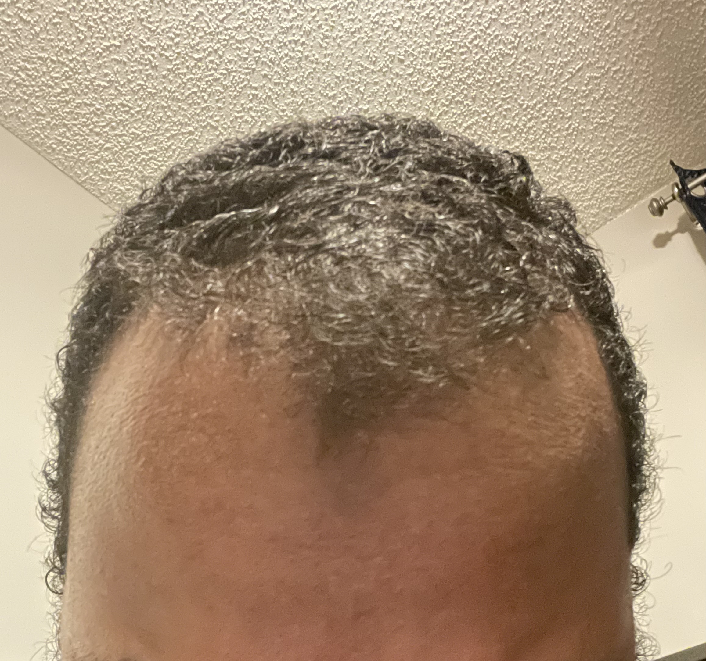 IMG 1335