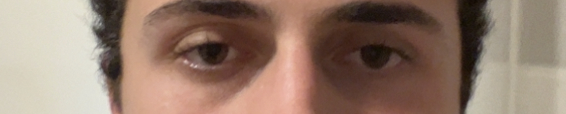 IMG 9993