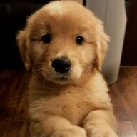 363B04B8 7E0F 456C 8603 8D4F9BAA2069