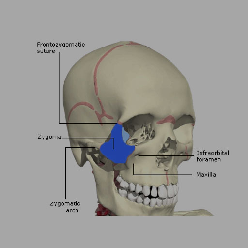 1707862870605