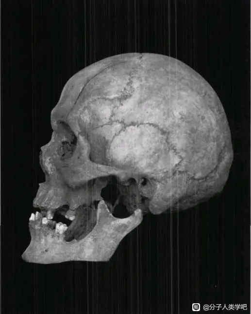 35E868C24F82AFBEF6DFCA818CDD767D