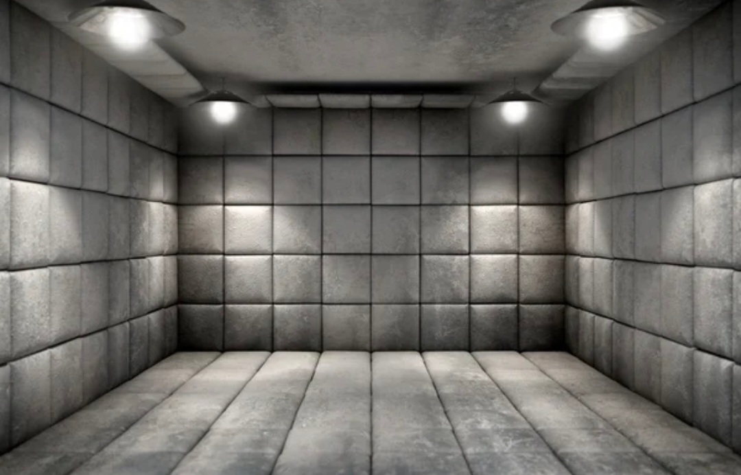 Screenshot 20230402 144334 Gallery