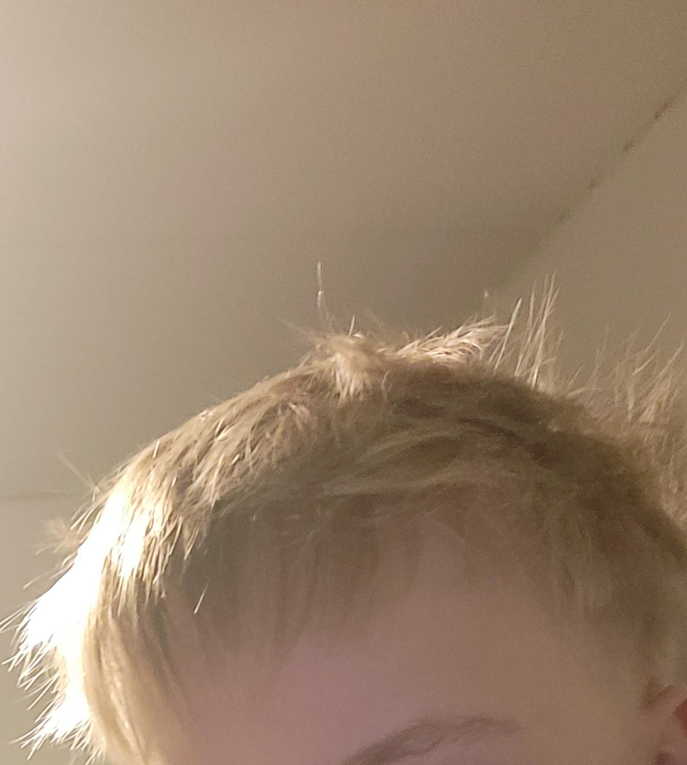 1708013585720