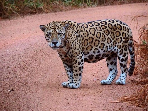 Main qimg 288c755b9c662c7c35b05cb2852a7926 lq