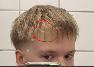 1708098416296