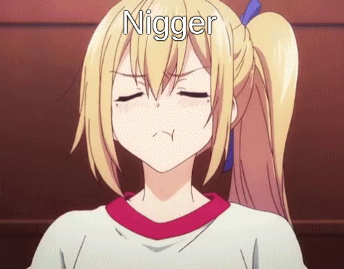 NIgger 1