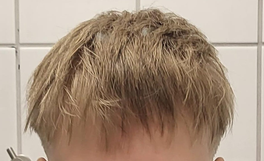 1708268608196