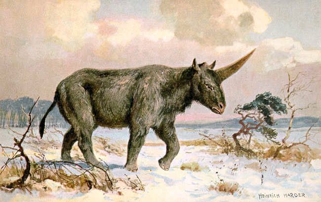 Siberian unicorn painting 01 jpg 653x0q80crop smart