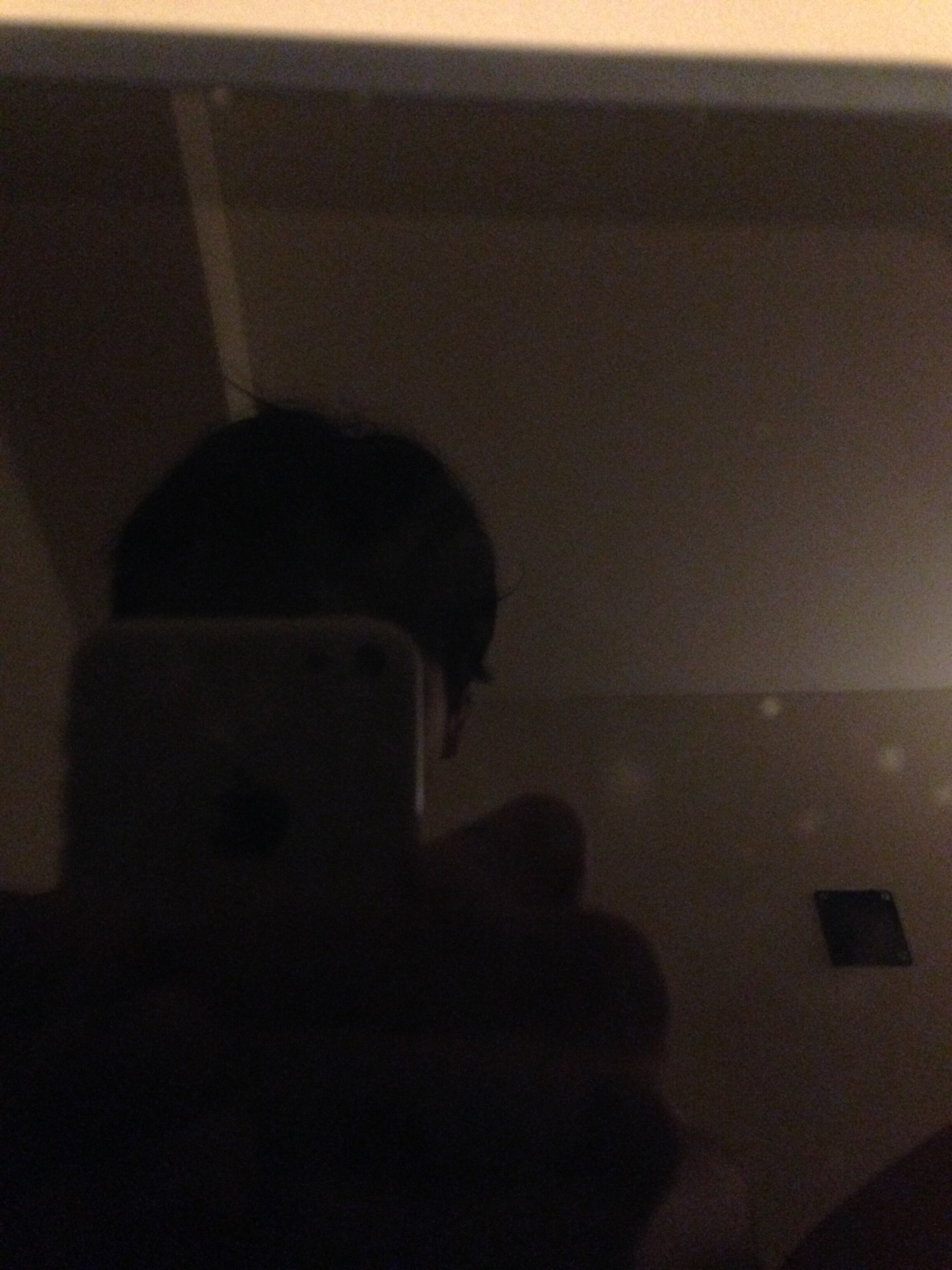 IMG 0371