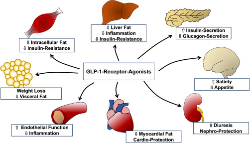 3 s20 B9780128221860000146 f24 05 9780128221860