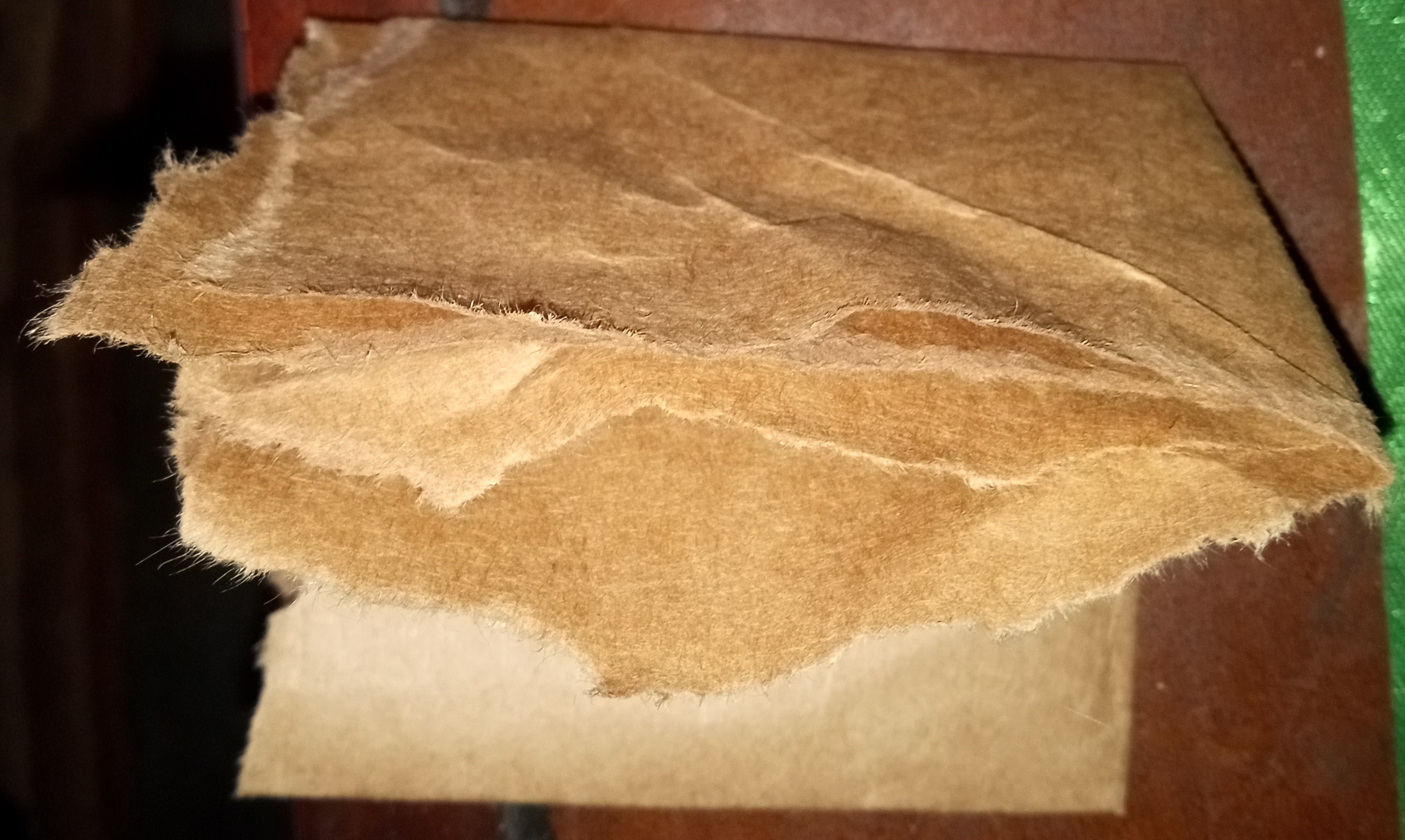 IMG 20240221 1119488772