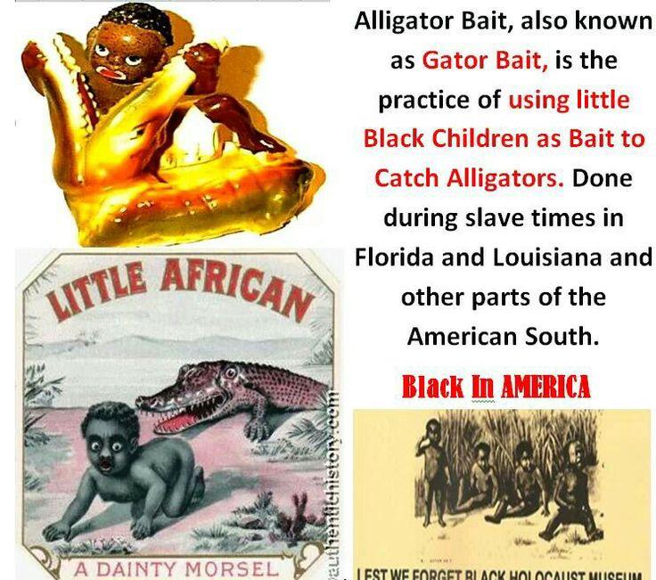 Niggers Alligator Bait