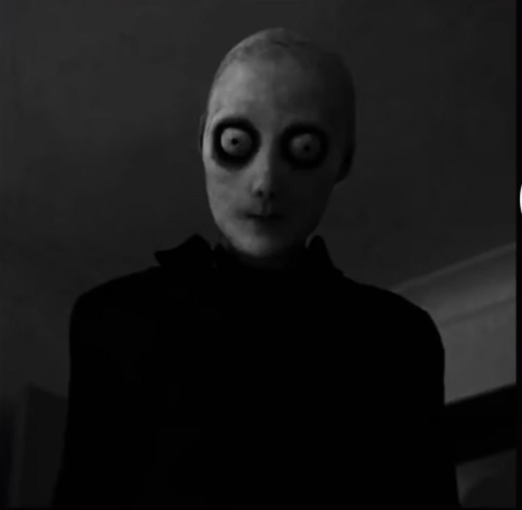 IMG 0654