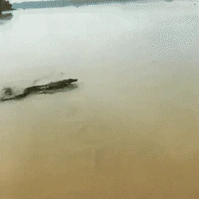 1708646811722