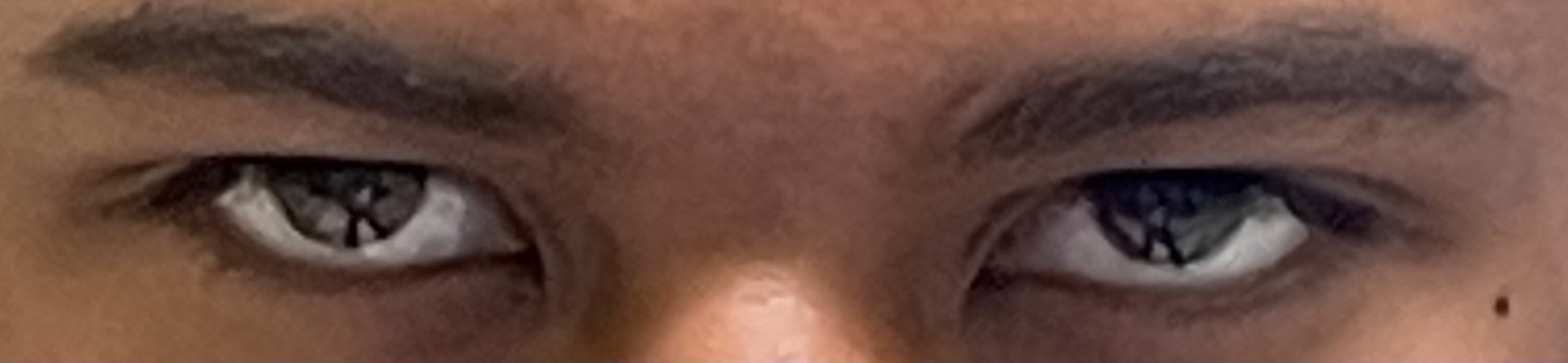 3613917 1693167706007
