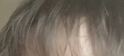 1708707035233