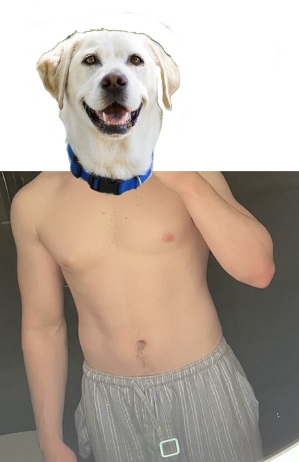1708781681564