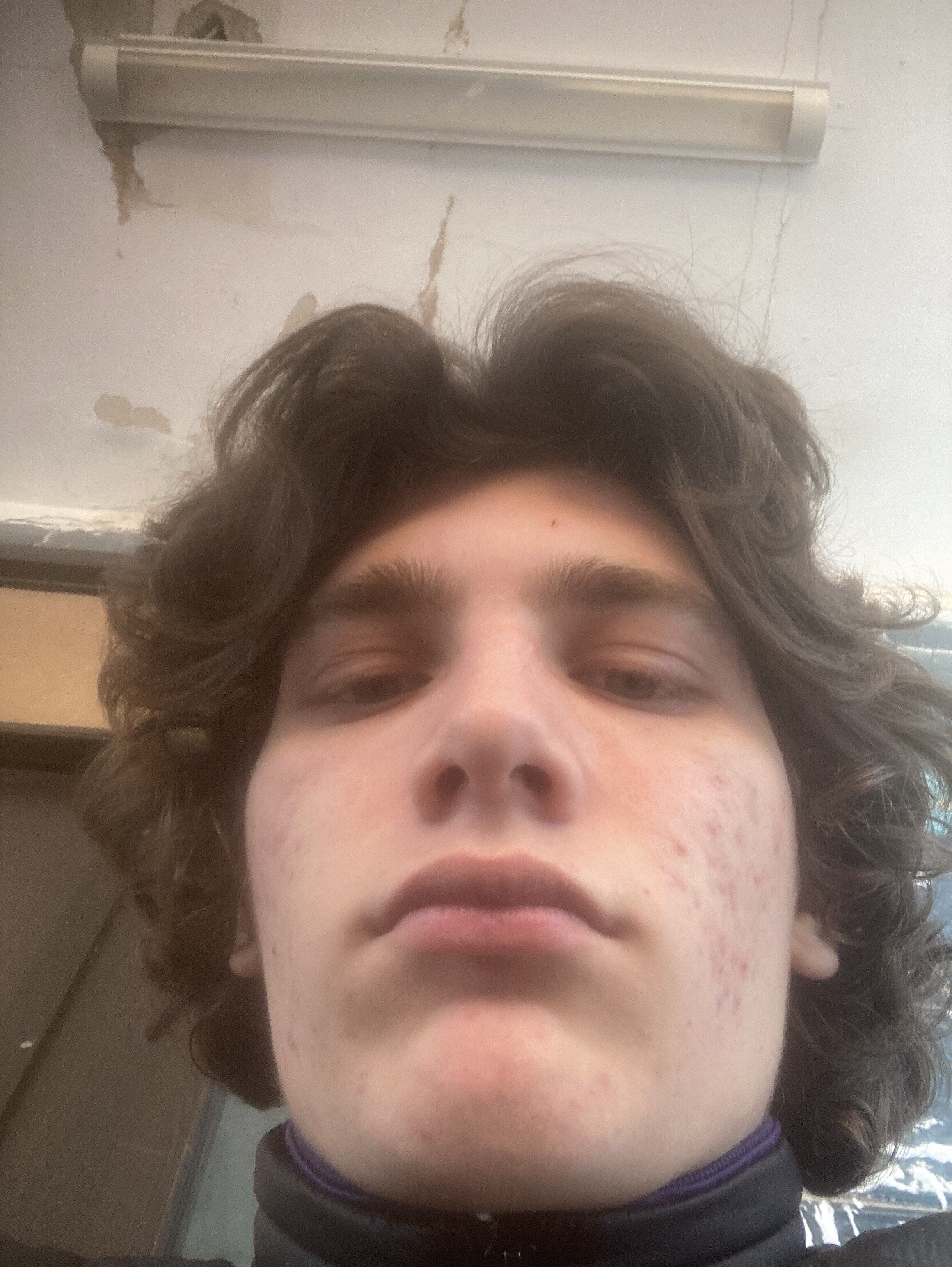 IMG 1484
