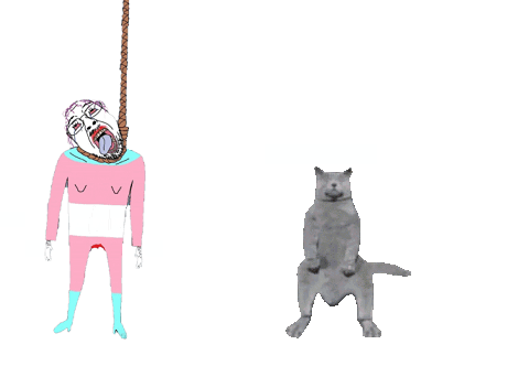 3434769 tnd gif 2