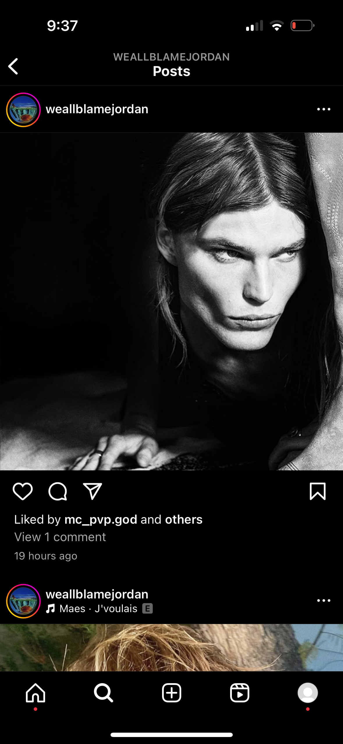 IMG 0309