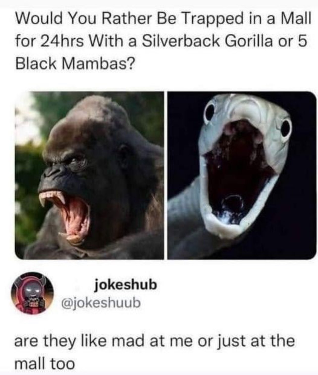 20240228 121218