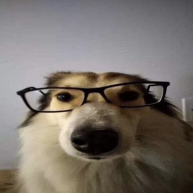 1709182567828